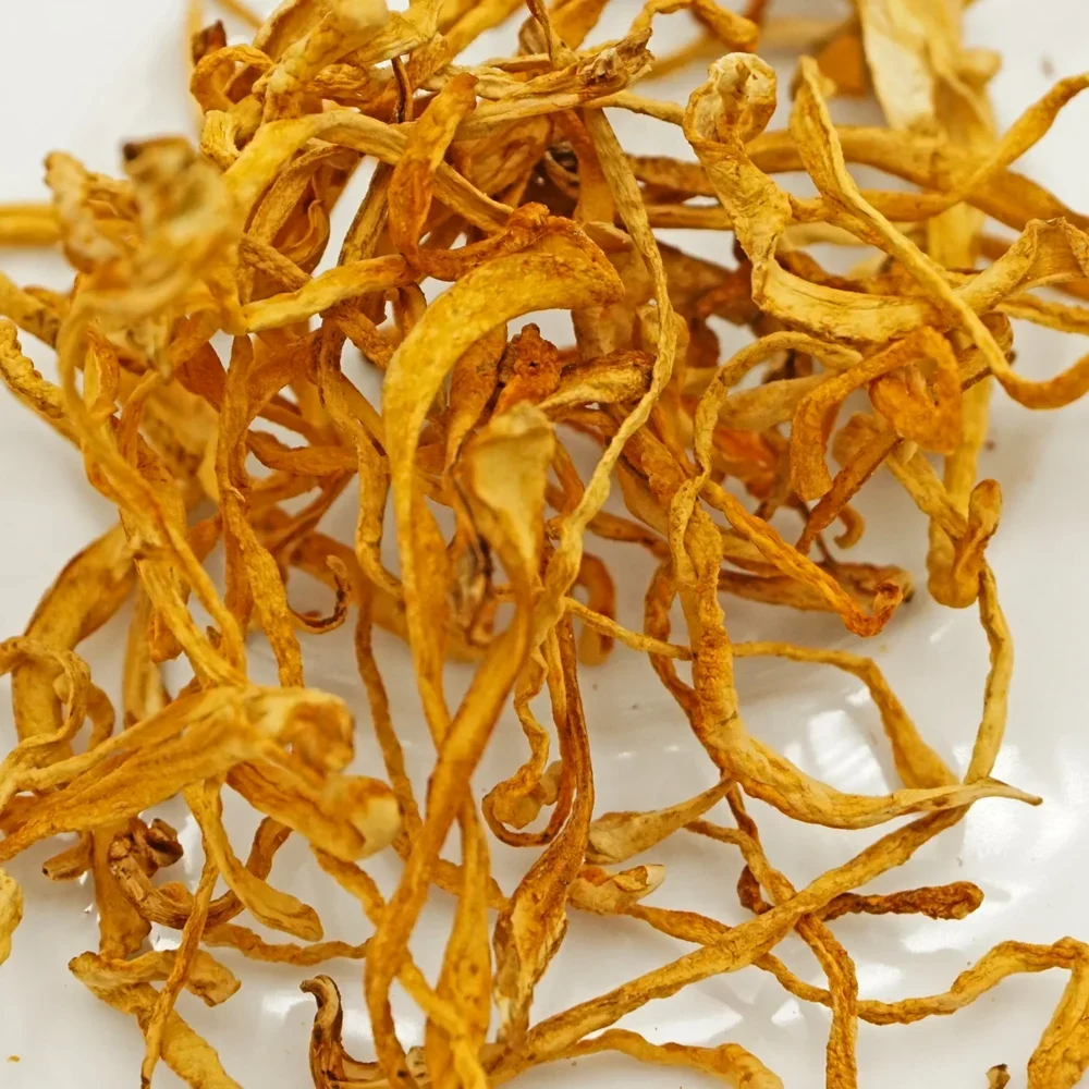 Cordyceps Militaris Keeda Jadi - Image 2